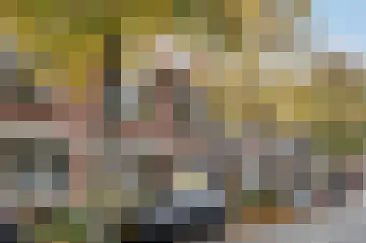 Markgraaflaan 115 Vlaardingen thumbnail 31