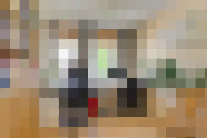 Markgraaflaan 128 Den Haag thumbnail 25