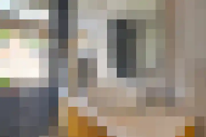 Markgraaflaan 128 Den Haag thumbnail 30