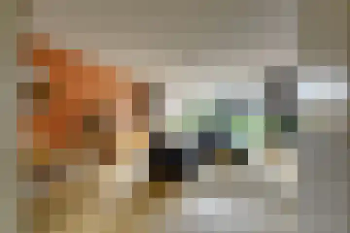 Markgraaflaan 128 Den Haag thumbnail 4