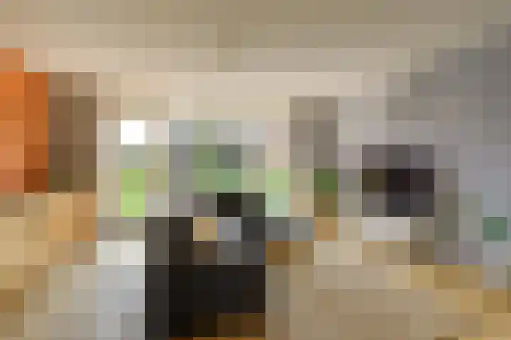 Markgraaflaan 128 Den Haag thumbnail 9