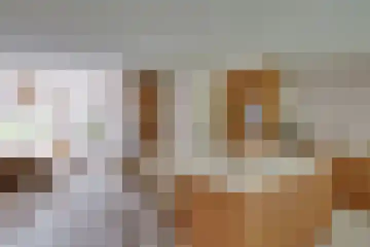 Markgraaflaan 129 Den Haag thumbnail 10