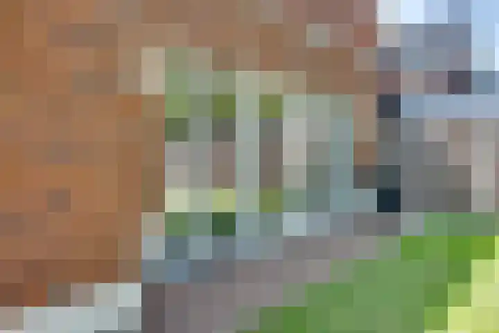 Markgraaflaan 129 Den Haag thumbnail 14
