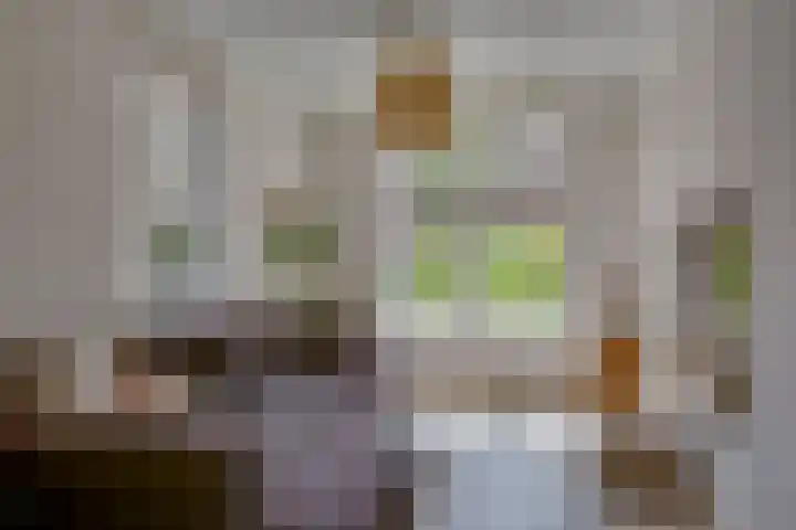 Markgraaflaan 129 Den Haag thumbnail 18