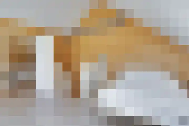 Markgraaflaan 129 Den Haag thumbnail 33