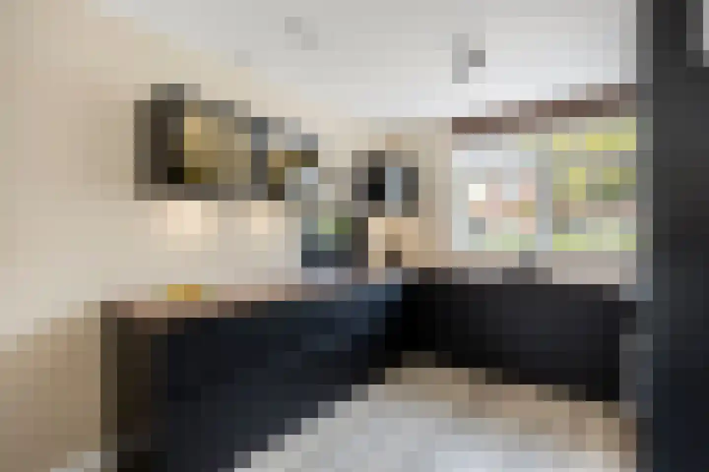 Markgraaflaan 158 Den Haag thumbnail 11