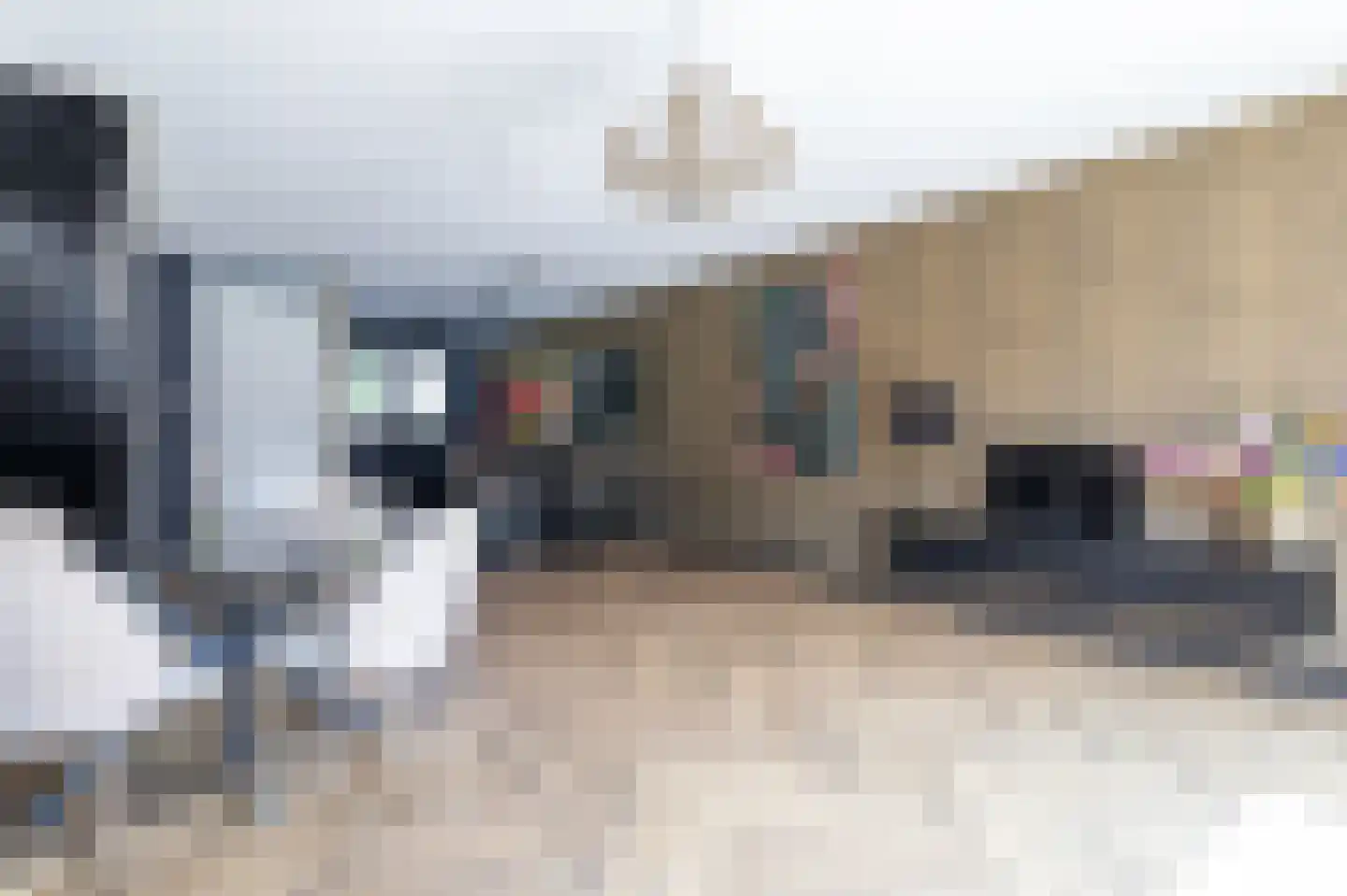 Markgraaflaan 162 Den Haag thumbnail 13
