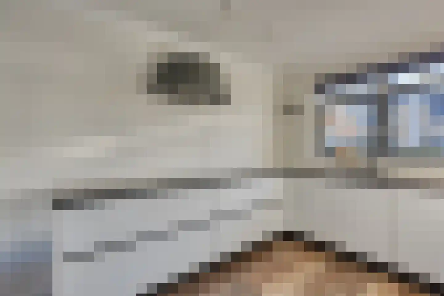 Markgraaflaan 184 Den Haag thumbnail 10