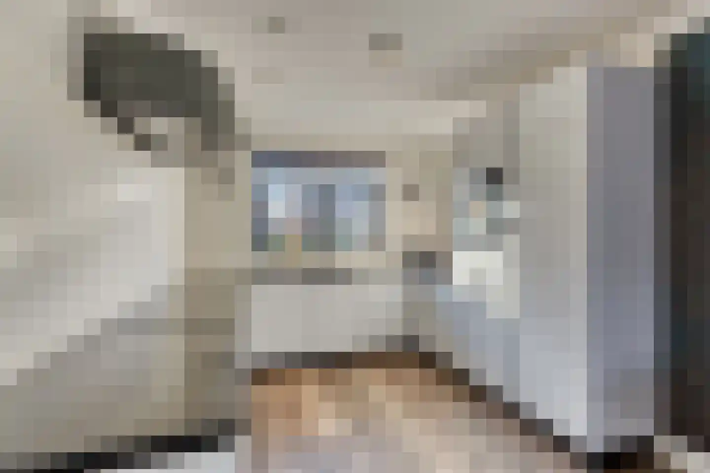 Markgraaflaan 184 Den Haag thumbnail 11