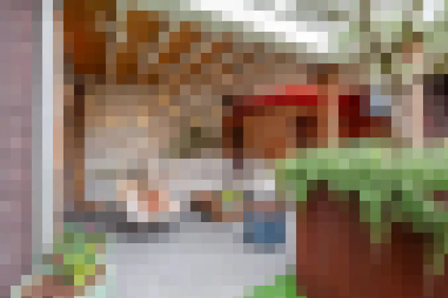 Markgraaflaan 189 Den Haag thumbnail 22