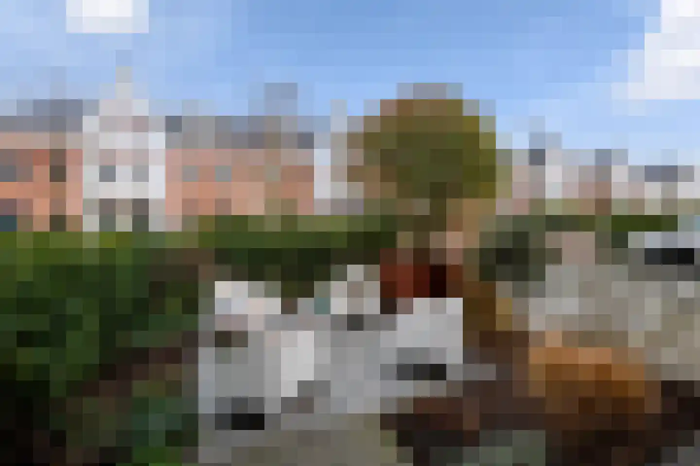 Markgraaflaan 189 Den Haag thumbnail 56