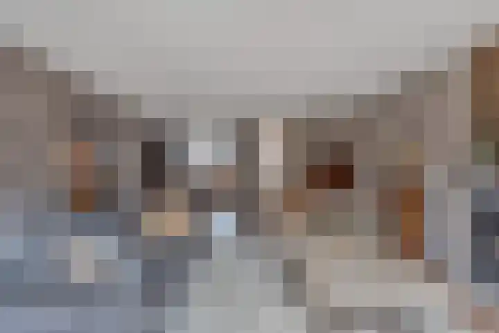Markgraaflaan 2 C Vlaardingen thumbnail 11
