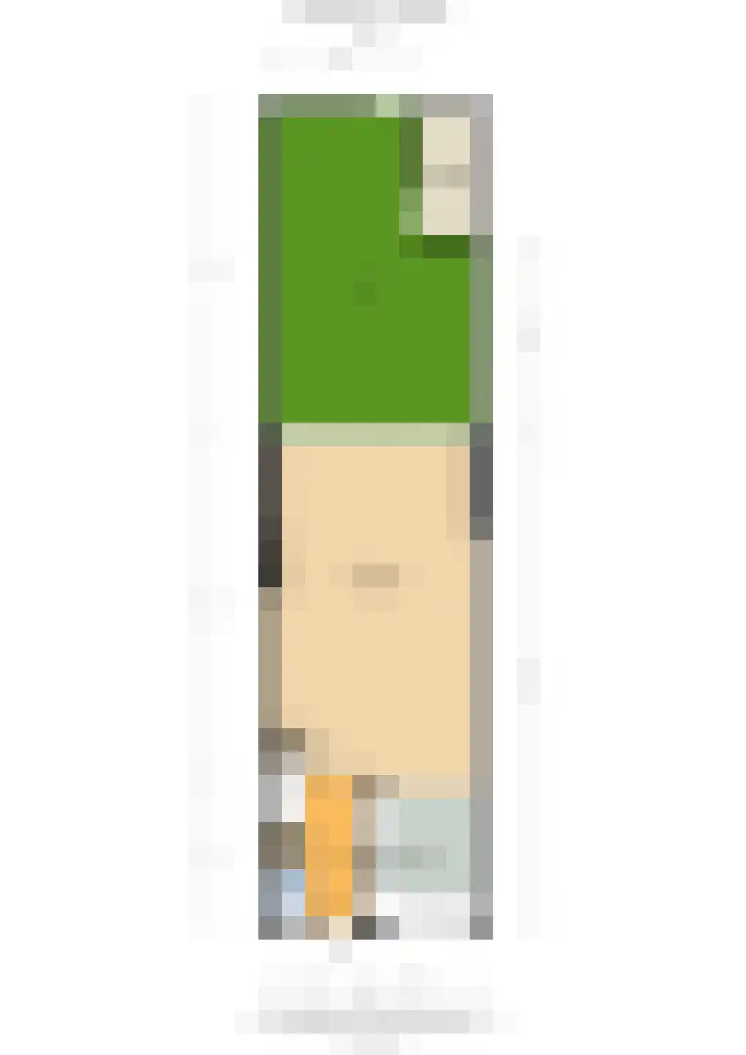 Markgraaflaan 2 C Vlaardingen thumbnail 39