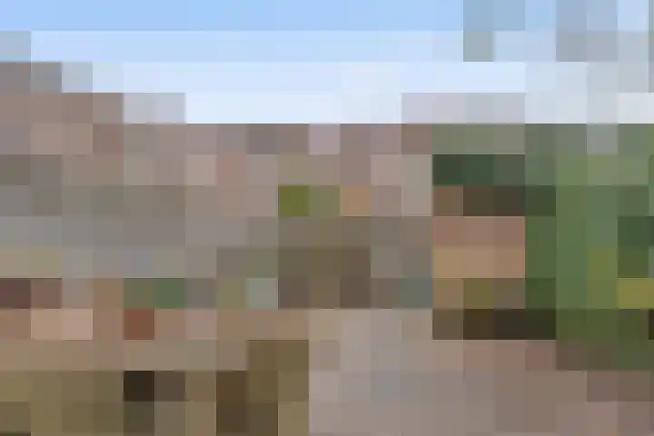 Markgraaflaan 2 C Vlaardingen thumbnail 4