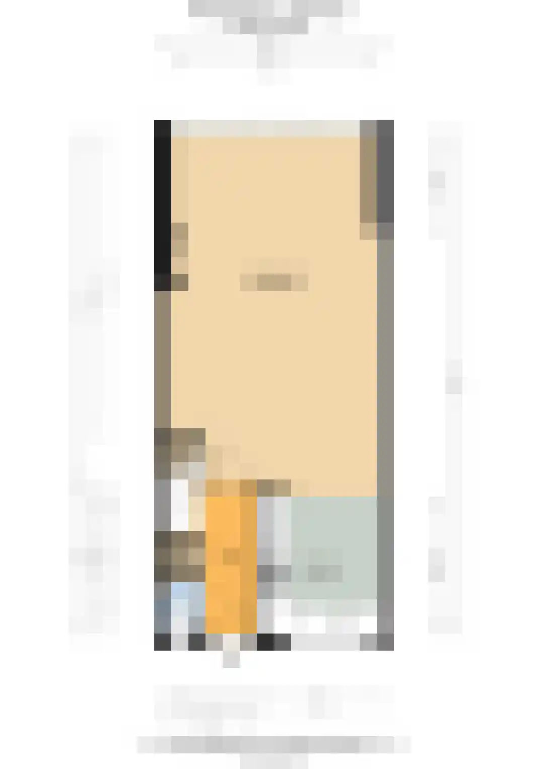 Markgraaflaan 2 C Vlaardingen thumbnail 40