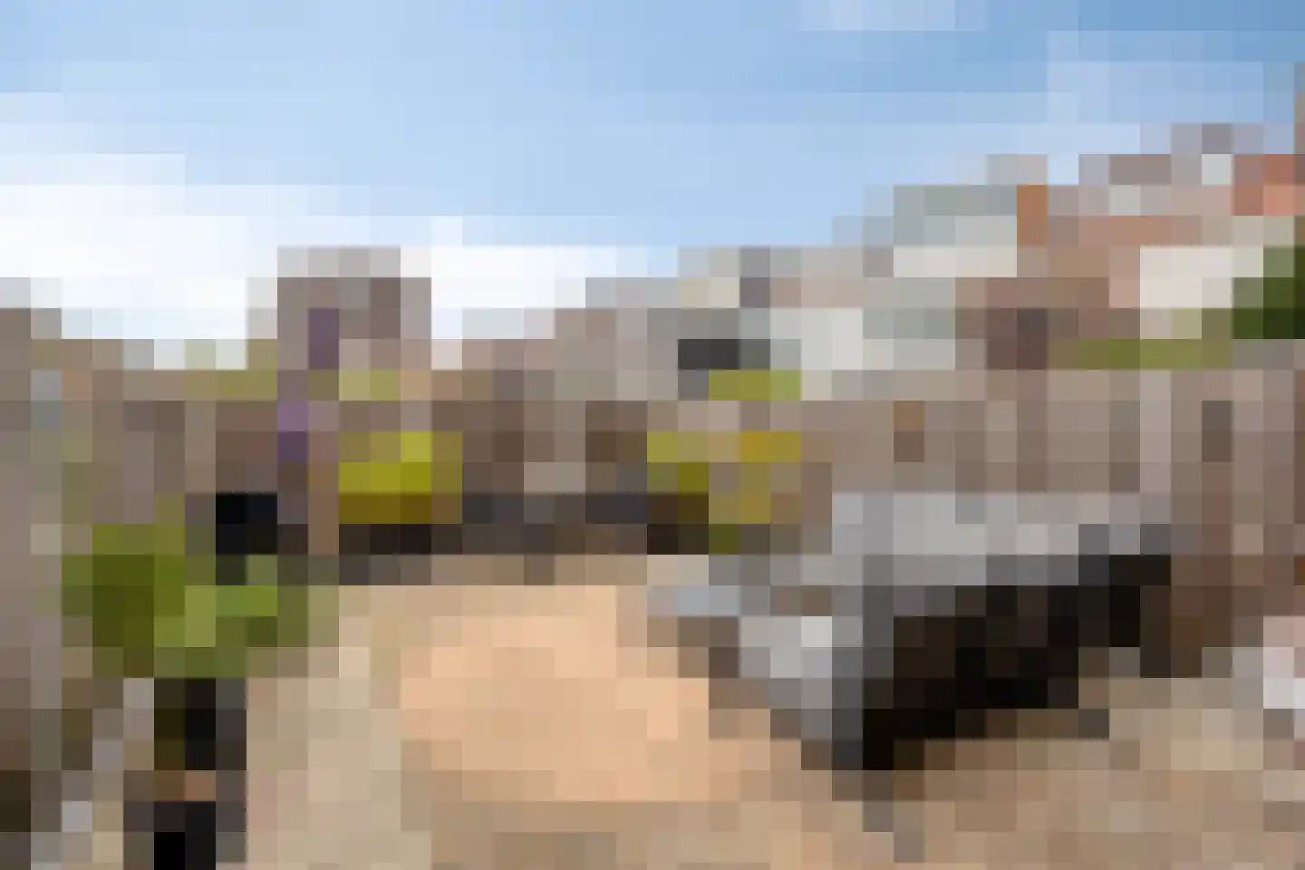 Markgraaflaan 21 Vlaardingen thumbnail 16