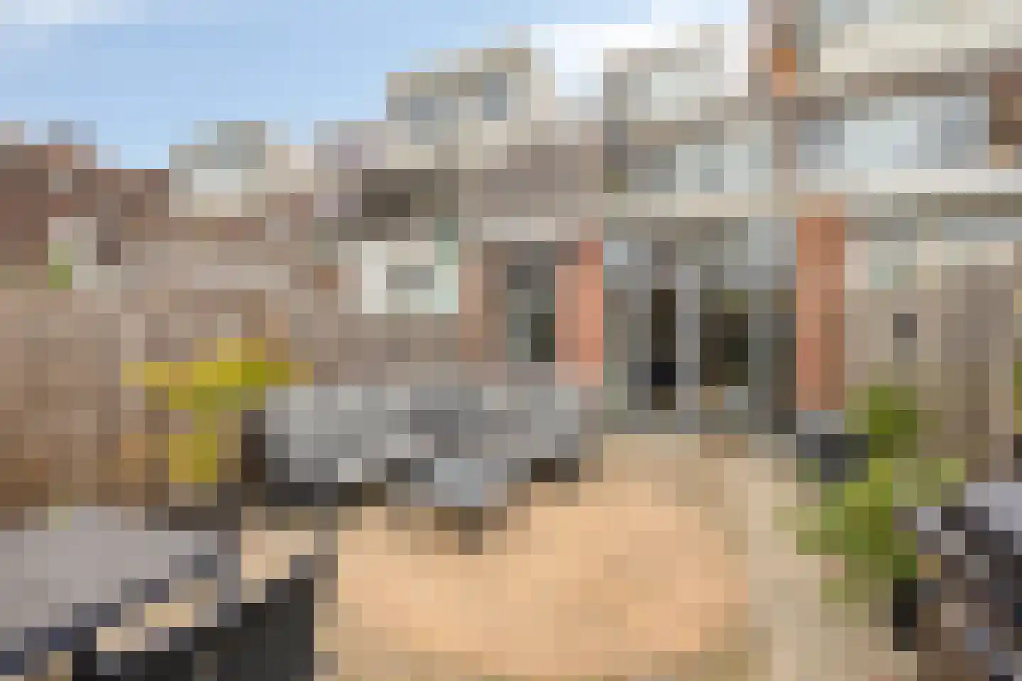 Markgraaflaan 21 Vlaardingen thumbnail 17