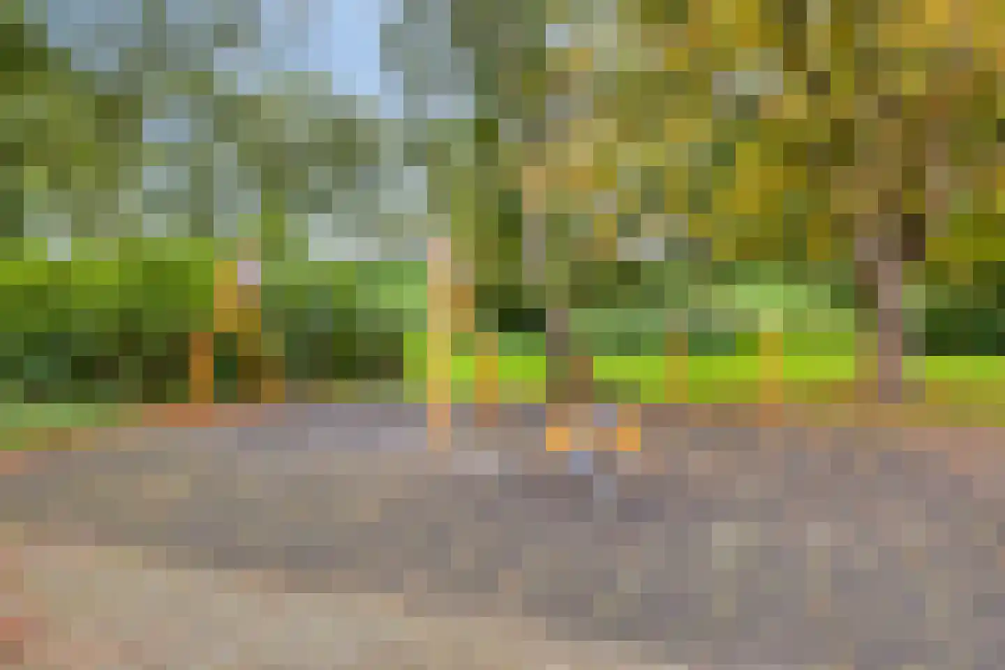 Markgraaflaan 21 Vlaardingen thumbnail 20