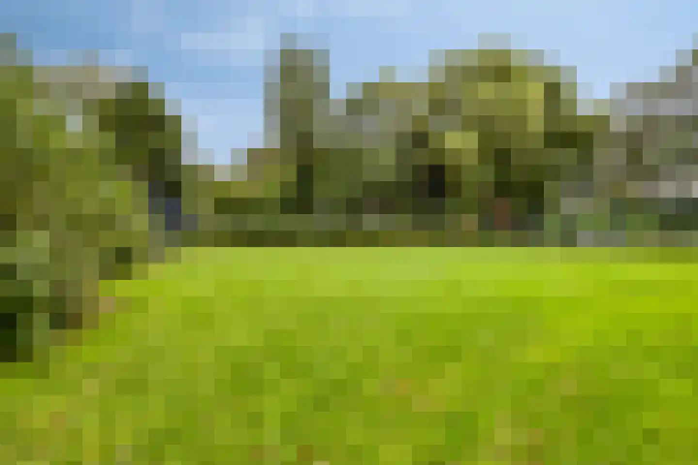 Markgraaflaan 21 Vlaardingen thumbnail 22