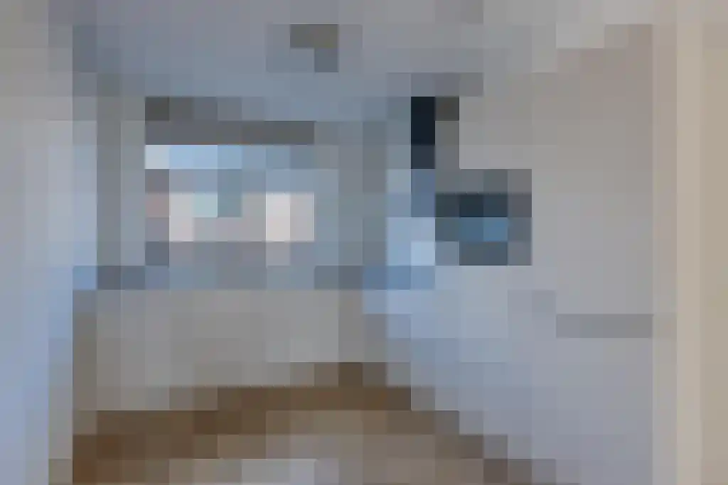 Markgraaflaan 212 Den Haag thumbnail 6