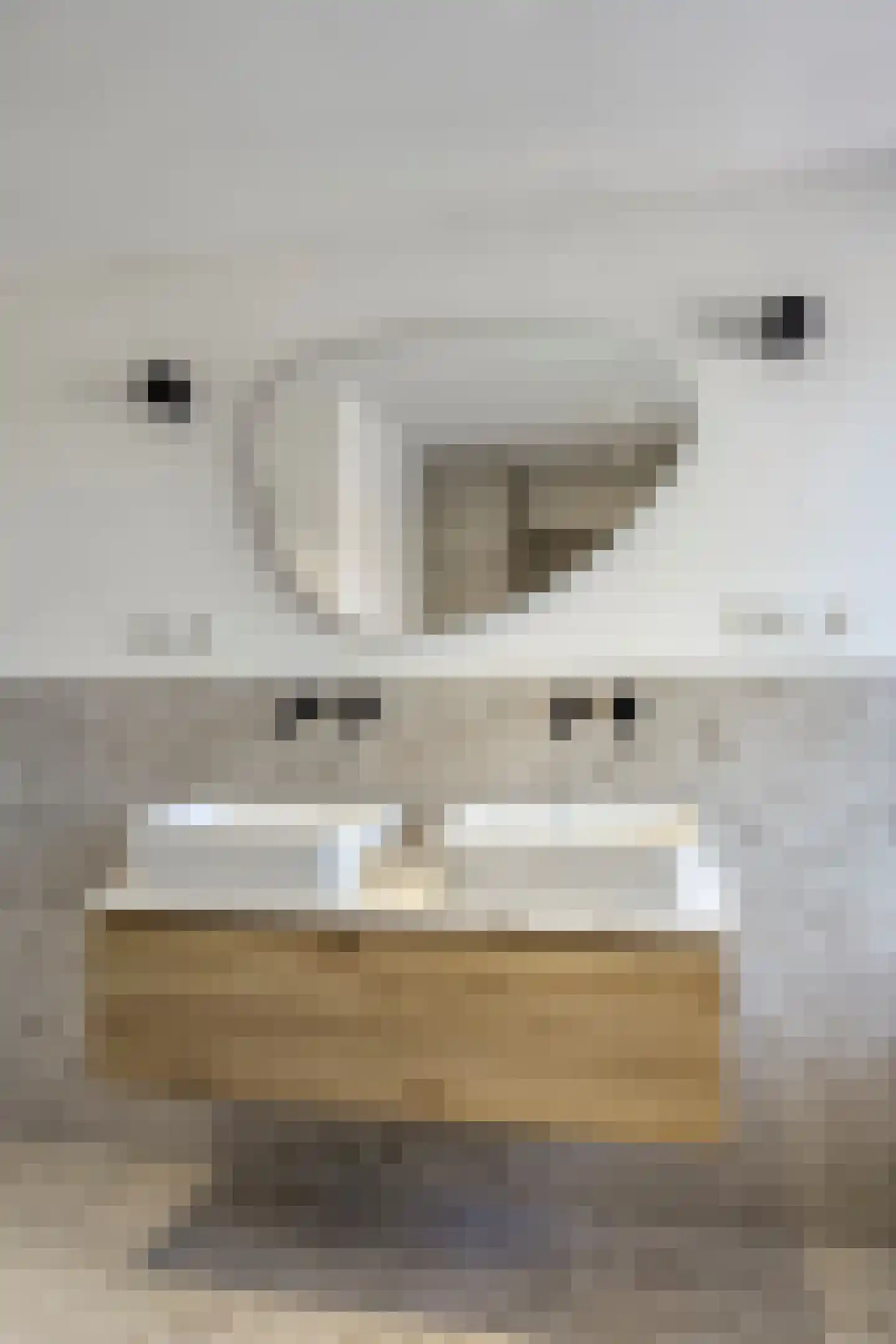 Markgraaflaan 40 Vlaardingen thumbnail 37