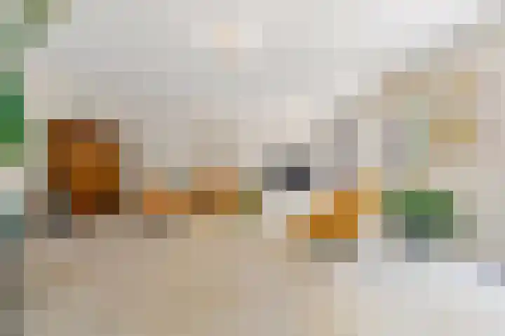 Markgraaflaan 47 Den Haag thumbnail 14