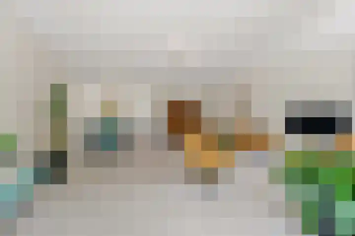 Markgraaflaan 47 Den Haag thumbnail 21