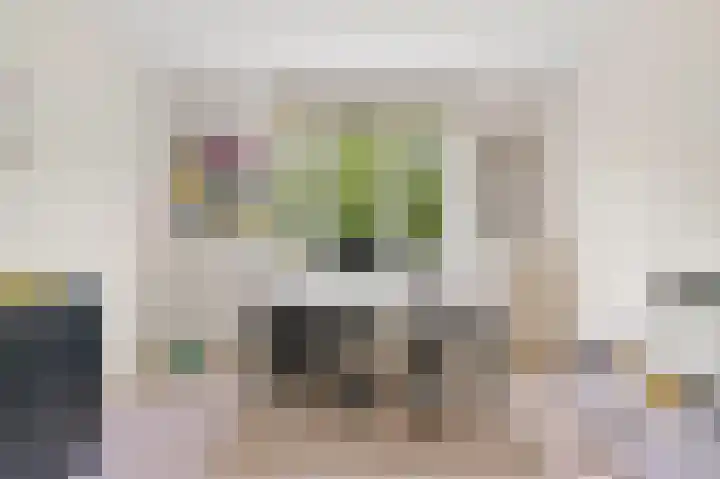 Markgraaflaan 47 Den Haag thumbnail 45
