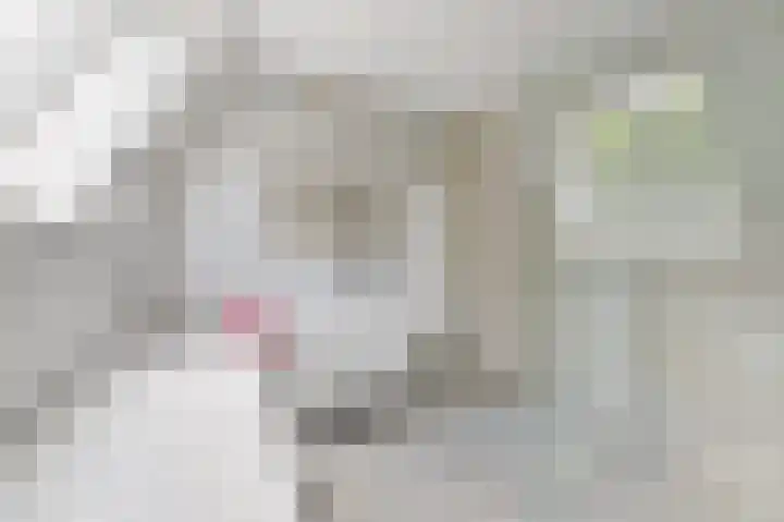 Markgraaflaan 47 Den Haag thumbnail 53