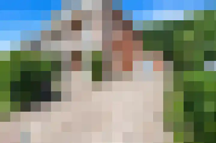 Markgraaflaan 47 Den Haag thumbnail 7