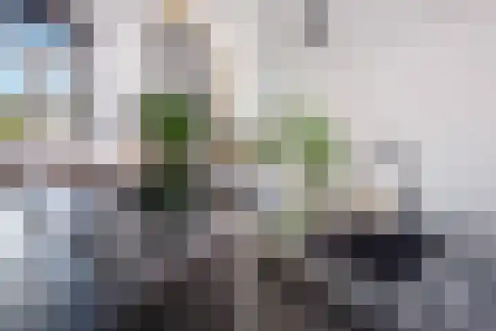 Markgraaflaan 51 Den Haag thumbnail 12