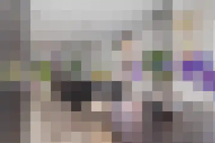 Markgraaflaan 51 Den Haag thumbnail 13