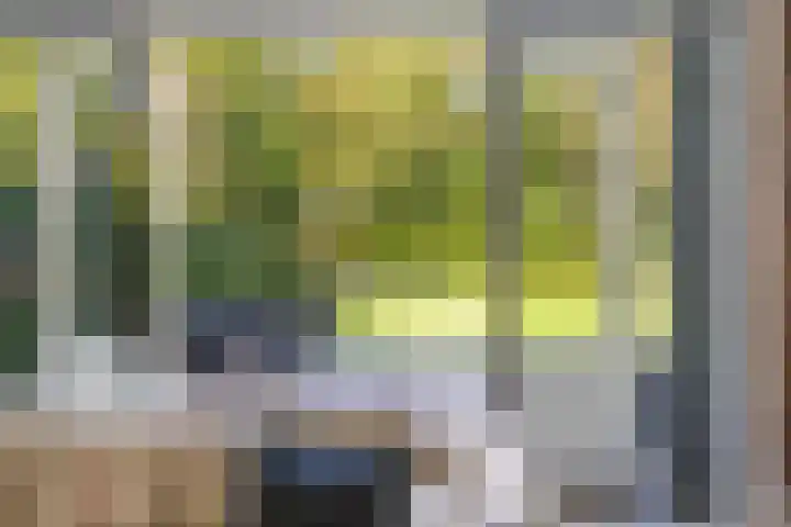 Markgraaflaan 51 Den Haag thumbnail 27