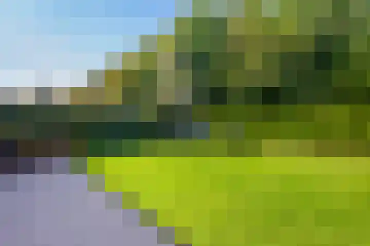 Markgraaflaan 51 Den Haag thumbnail 4