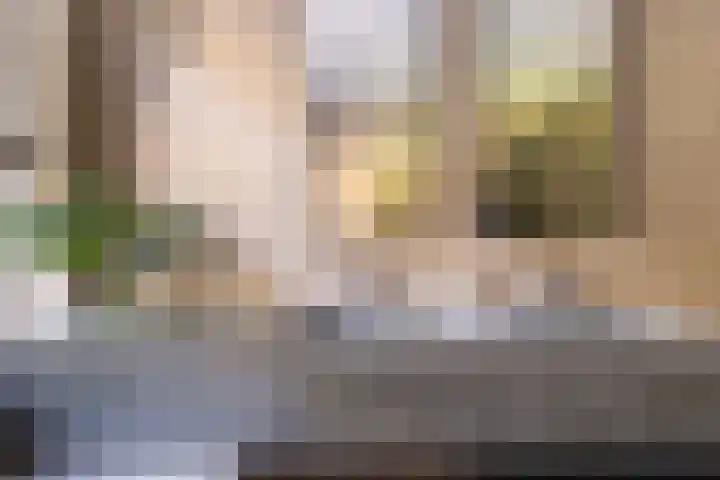 Markgraaflaan 51 Den Haag thumbnail 56