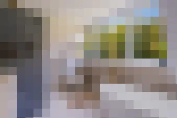 Markgraaflaan 51 Den Haag thumbnail 69
