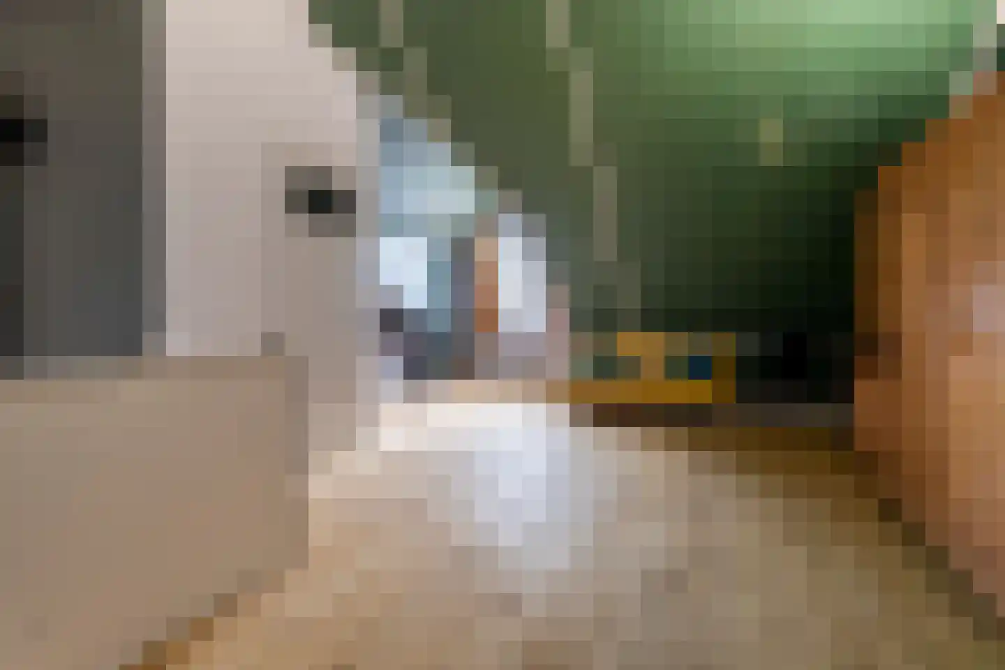 Markgraaflaan 55 Den Haag thumbnail 37