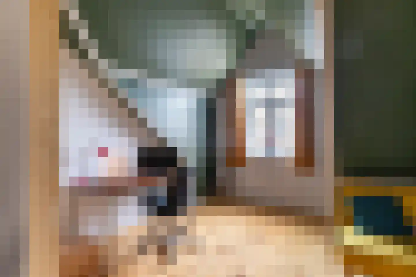 Markgraaflaan 55 Den Haag thumbnail 38