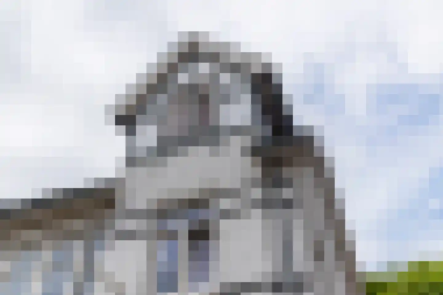 Markgraaflaan 55 Den Haag thumbnail 45