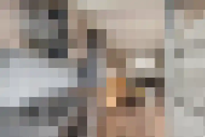 Markgraaflaan 79 Vlaardingen thumbnail 20