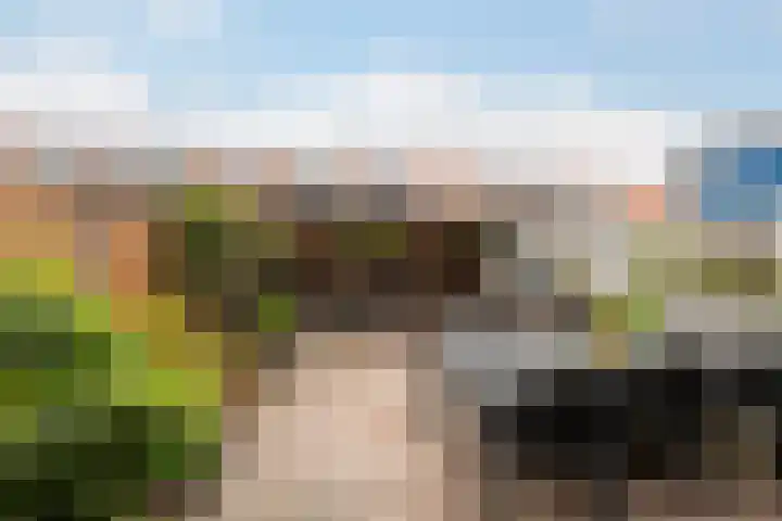 Markgraaflaan 79 Vlaardingen thumbnail 23