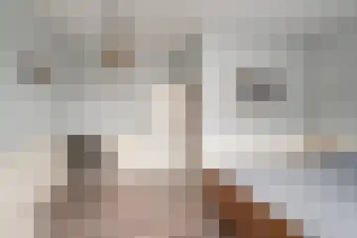 Markgraaflaan 79 Vlaardingen thumbnail 30
