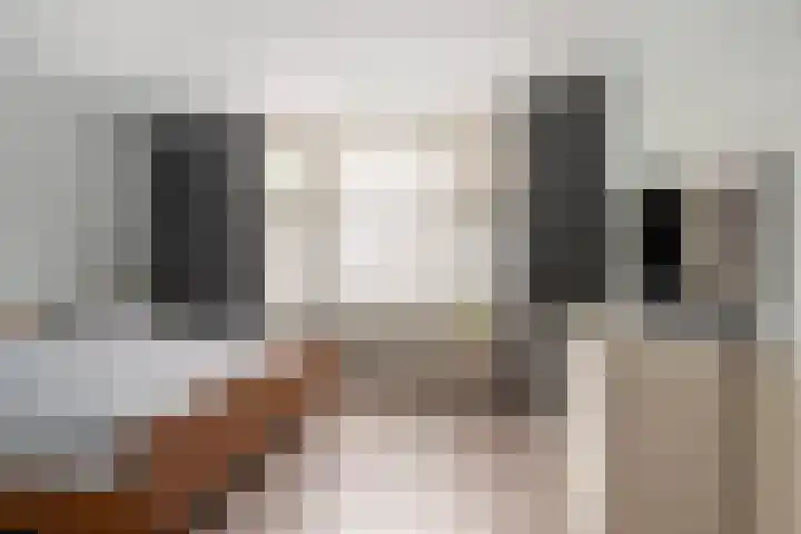 Markgraaflaan 79 Vlaardingen thumbnail 4