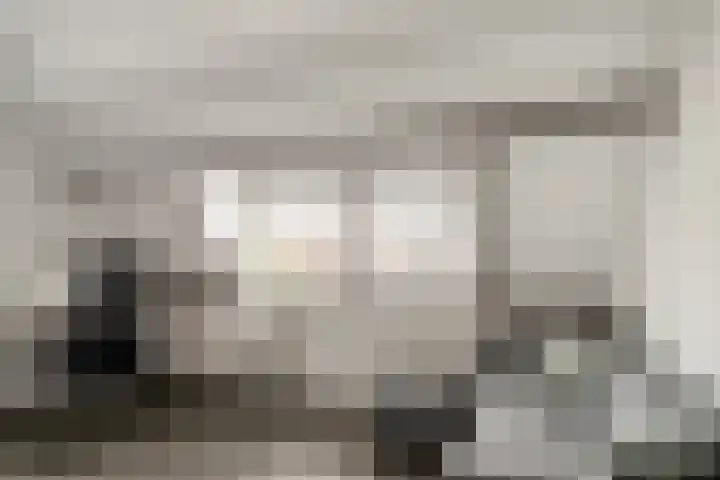 Markgraaflaan 79 Vlaardingen thumbnail 43