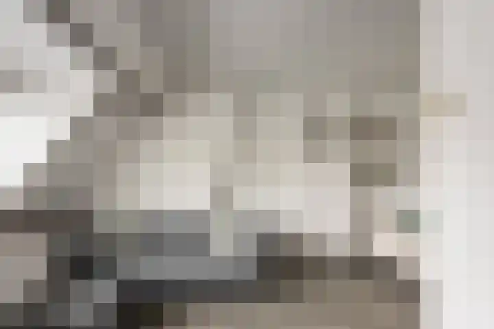 Markgraaflaan 79 Vlaardingen thumbnail 6