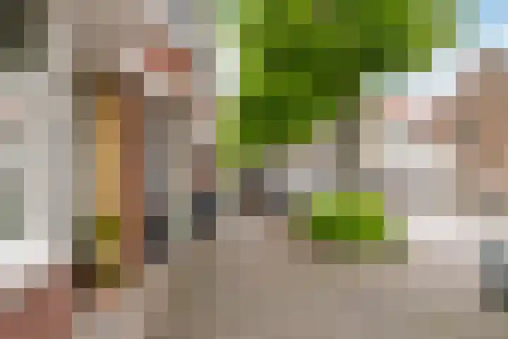Markgraaflaan 79 Vlaardingen thumbnail 7