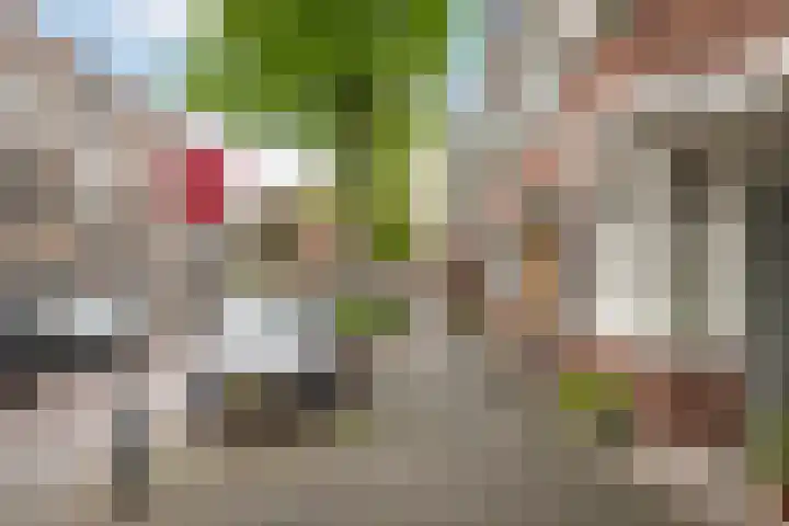 Markgraaflaan 79 Vlaardingen thumbnail 8