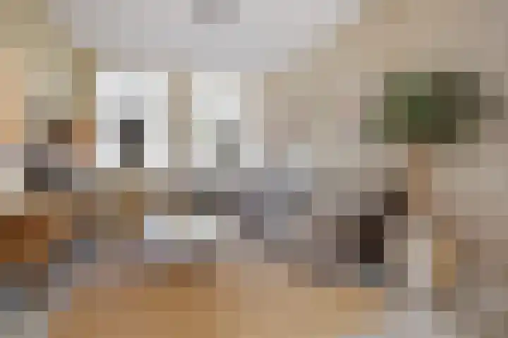 Markgraaflaan 92 Den Haag thumbnail 12