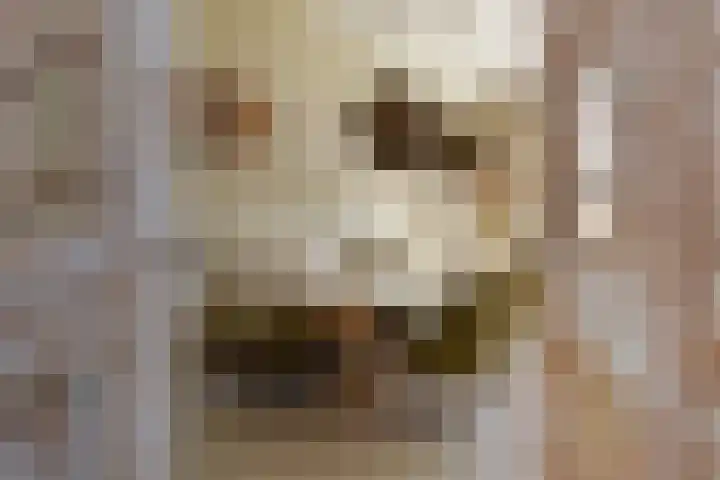 Markgraaflaan 92 Den Haag thumbnail 21