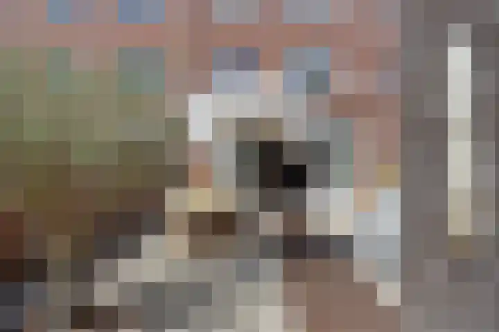Markgraaflaan 92 Den Haag thumbnail 41